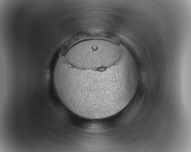X0000088160308200705291917