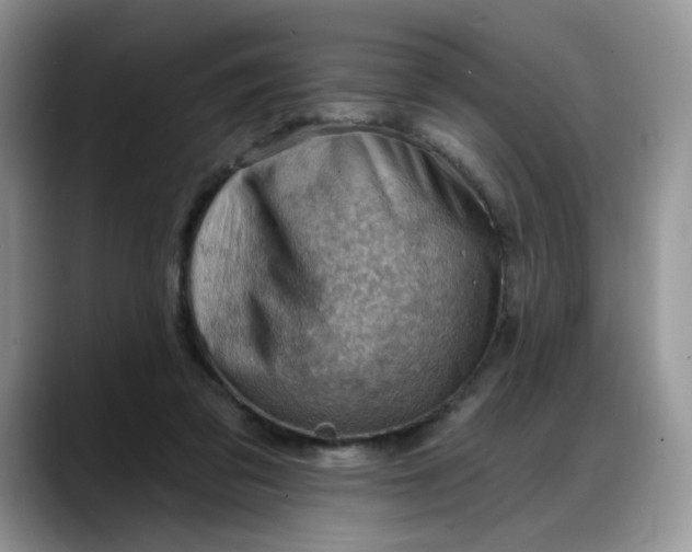 X0000088160309200705291917
