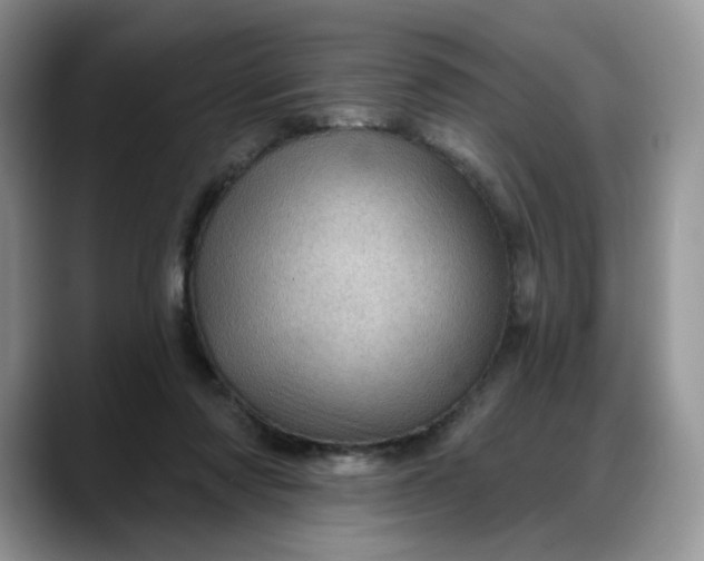 X0000088160310200705291917