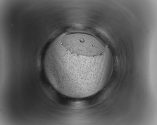 X0000088160312200705291917