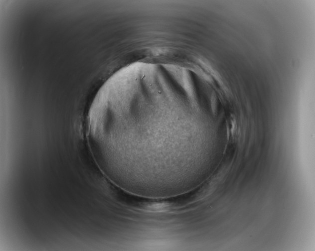X0000088160313200705291917