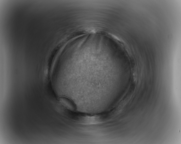 X0000088160314200705291917