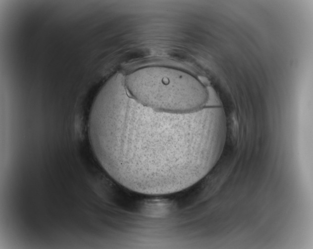 X0000088160316200705291917