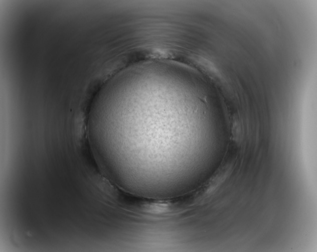 X0000088160318200705291917