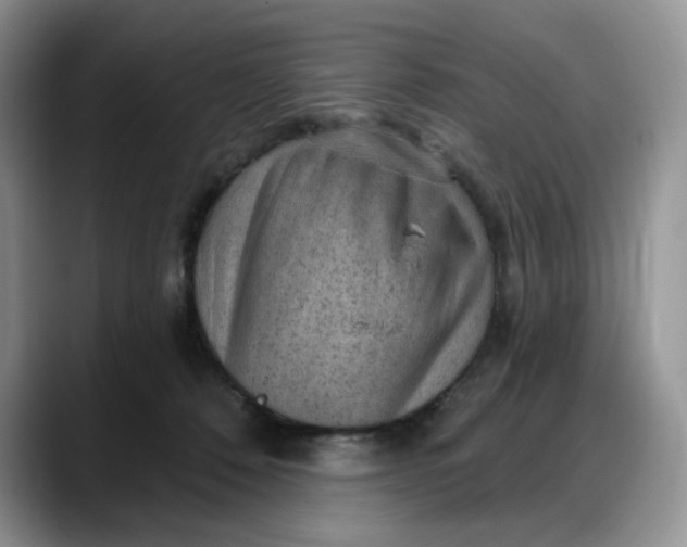 X0000088160320200705291917