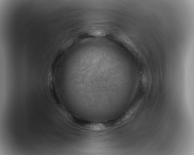 X0000088160322200705291917