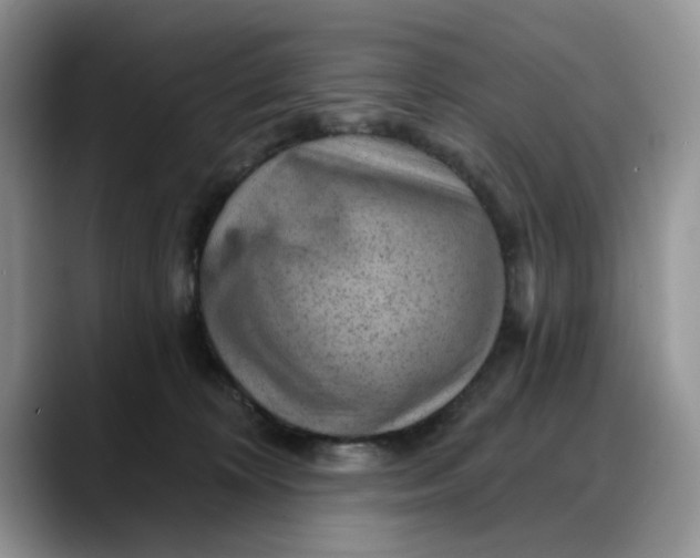 X0000088160324200705291917