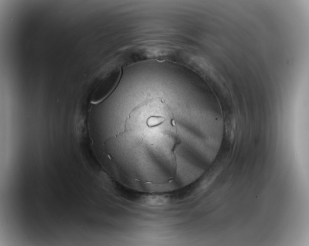 X0000088160327200705291917