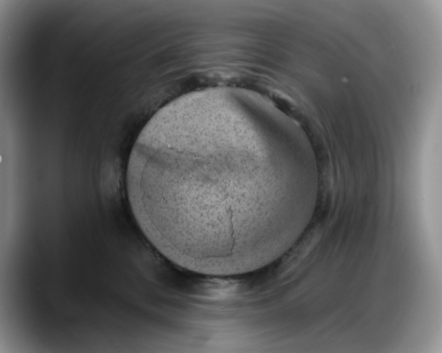 X0000088160328200705291917