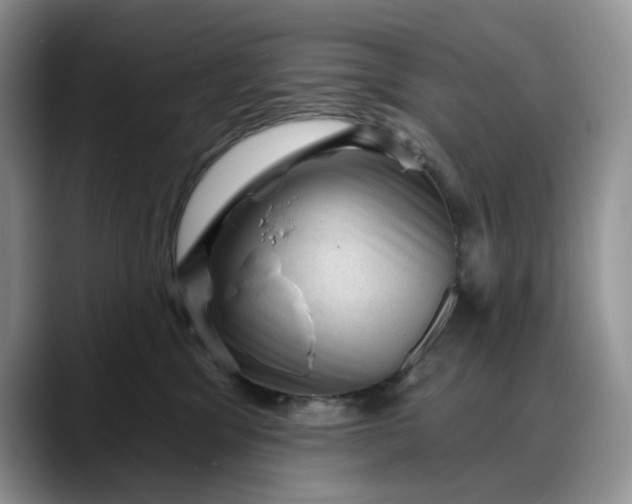X0000088160329200705291917