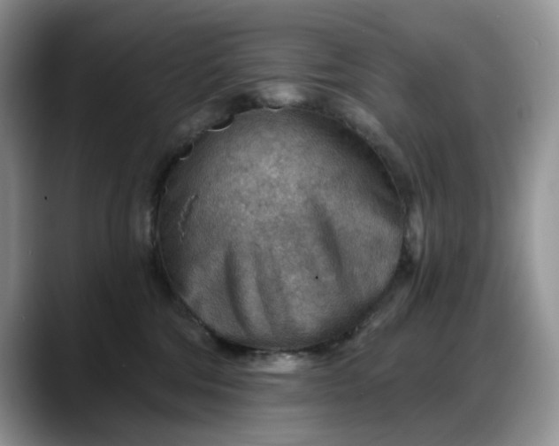 X0000088160330200705291917