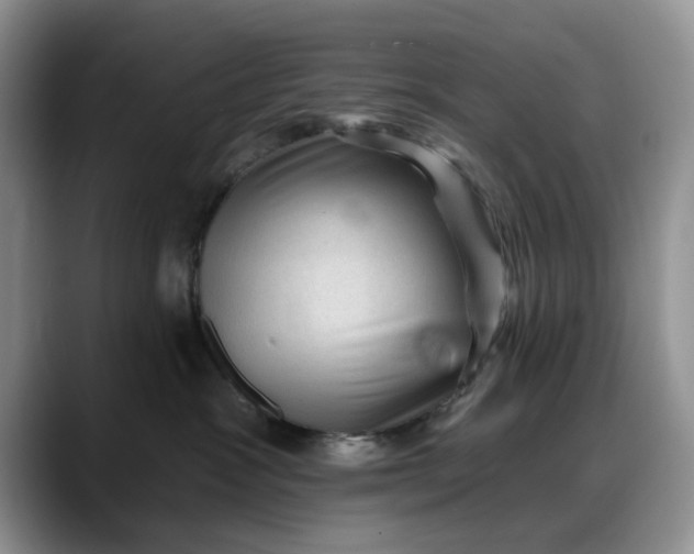 X0000088160333200705291917
