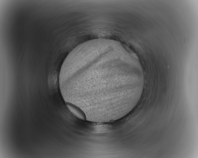 X0000088160336200705291916