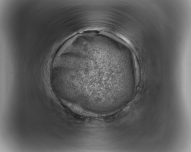 X0000088160337200705291916