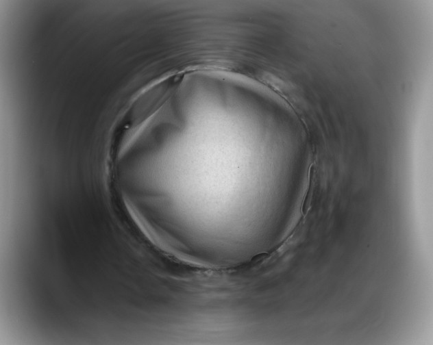 X0000088160338200705291916