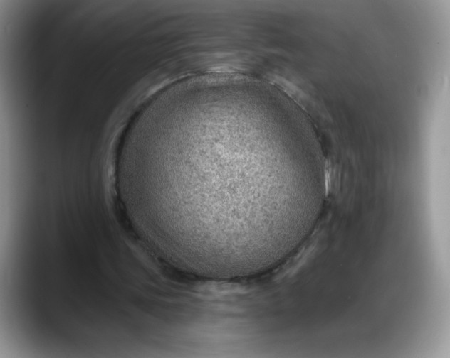 X0000088160339200705291916