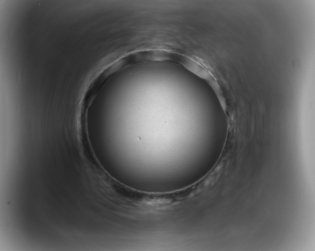 X0000088160340200705291916