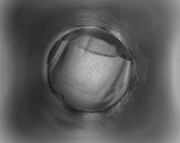 X0000088160342200705291916