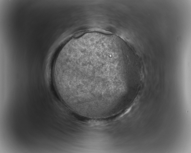 X0000088160343200705291916
