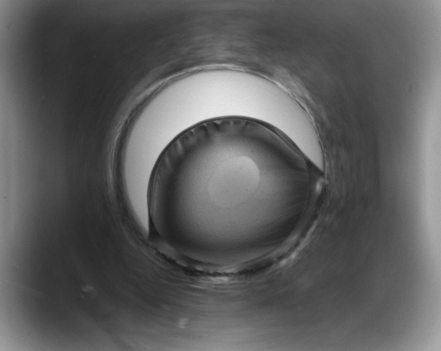 X0000088160344200705291916