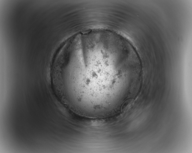 X0000088160345200705291916