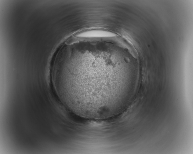 X0000088160346200705291916
