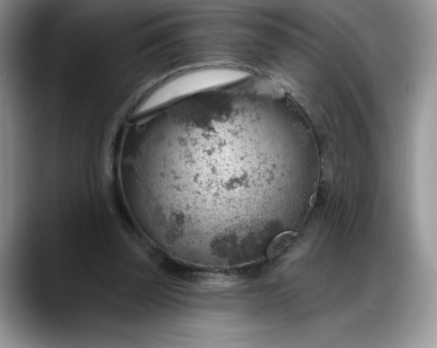 X0000088160347200705291916
