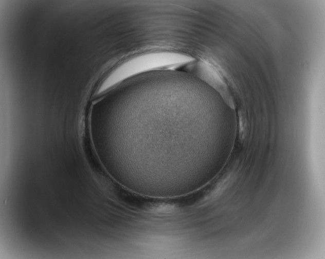 X0000088160348200705291916