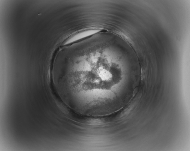 X0000088160349200705291916