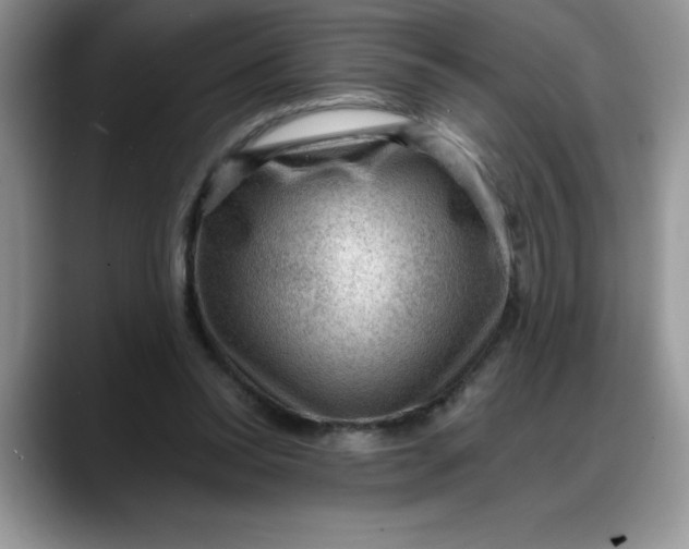 X0000088160350200705291916