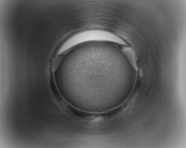 X0000088160352200705291916