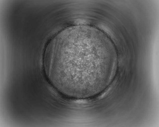 X0000088160353200705291916