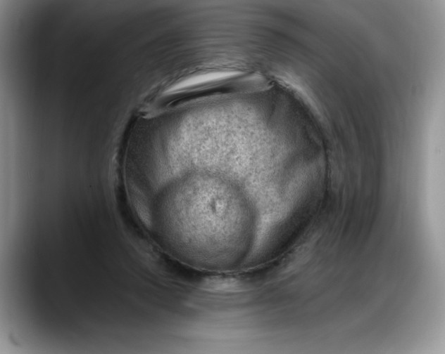 X0000088160354200705291916