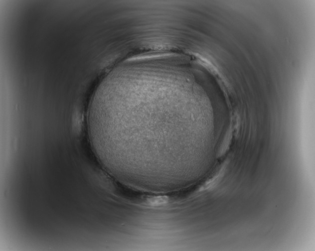 X0000088160355200705291916
