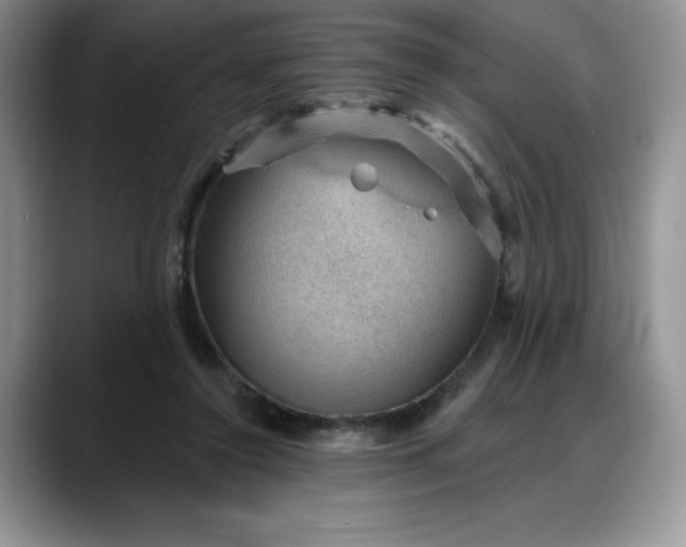 X0000088160356200705291916
