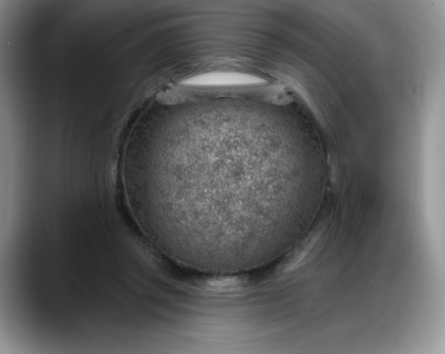 X0000088160357200705291916