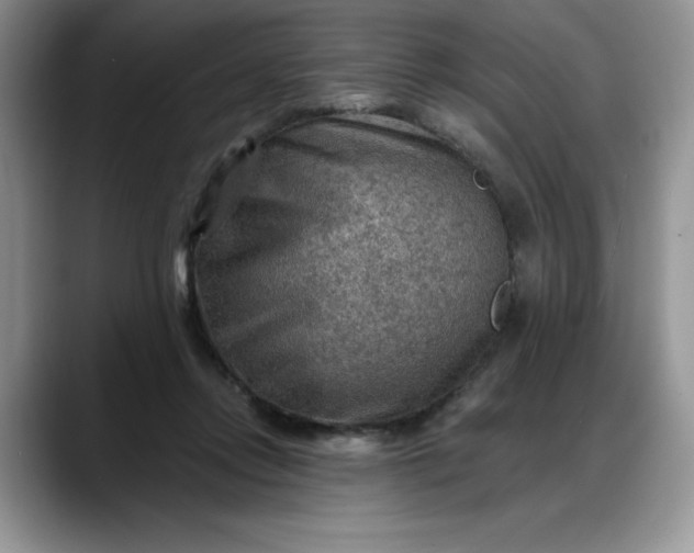 X0000088160358200705291916