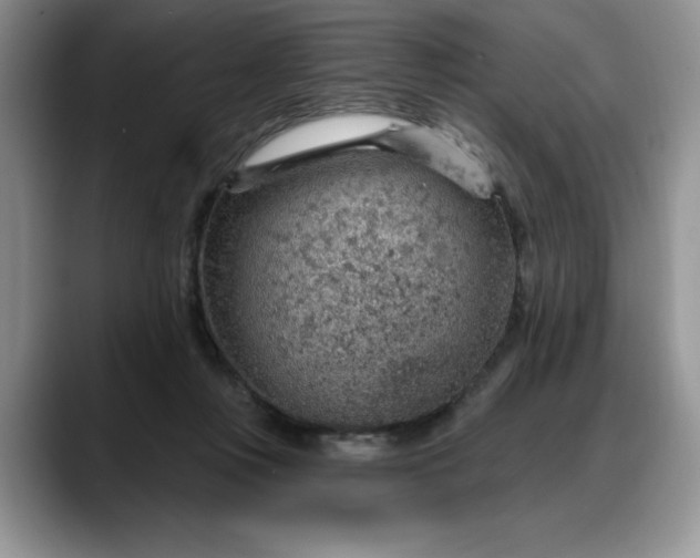 X0000088160359200705291916