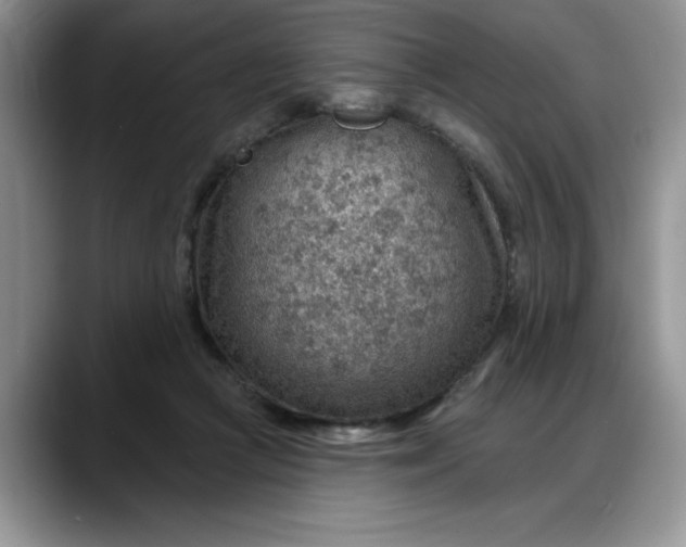 X0000088160361200705291916