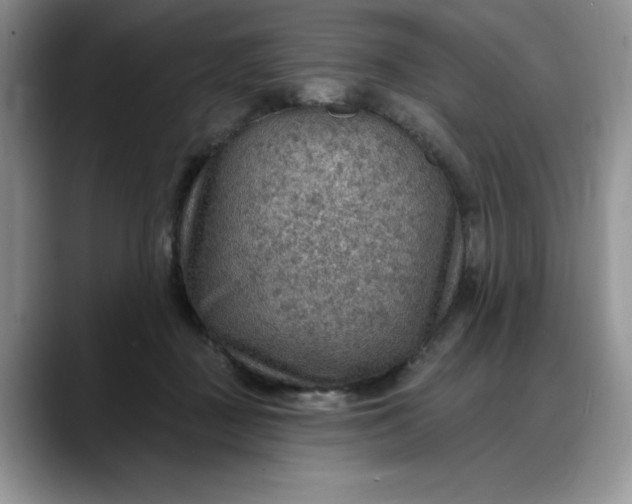 X0000088160363200705291916