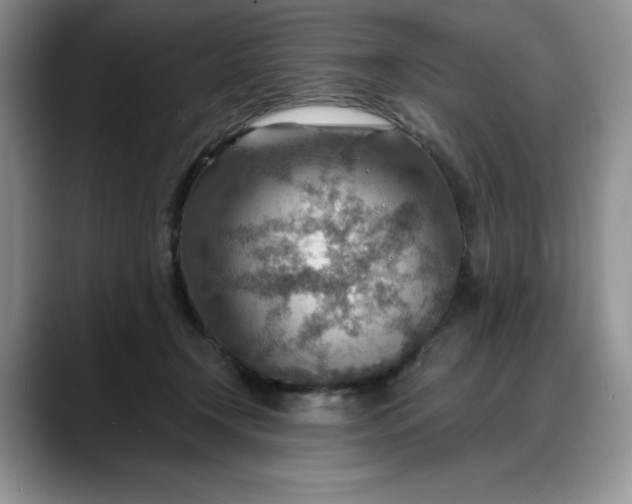 X0000088160366200705291916