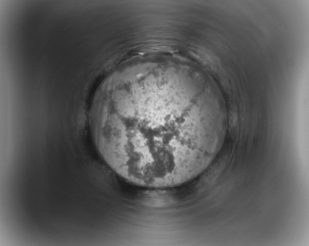X0000088160367200705291916