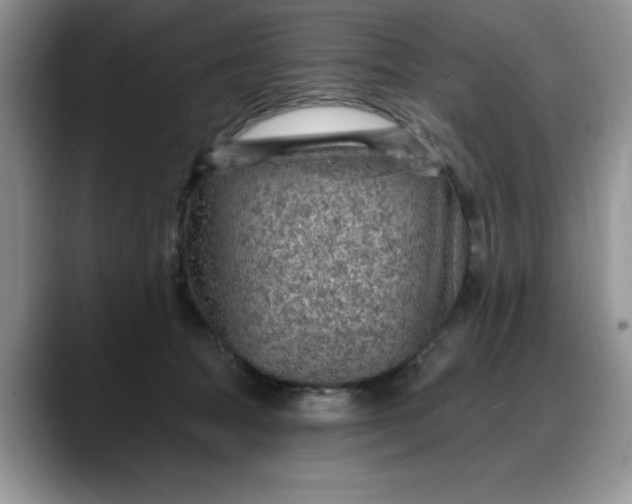 X0000088160369200705291916