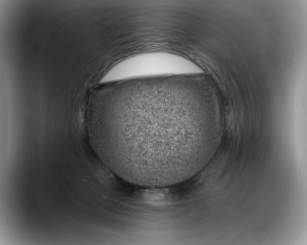 X0000088160373200705291916