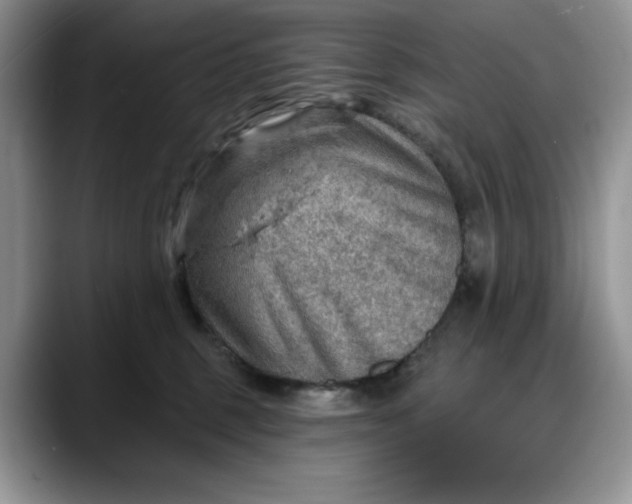 X0000088160375200705291916