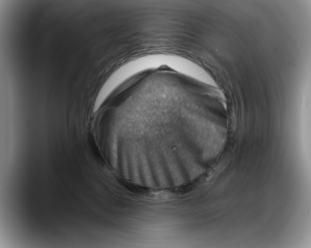 X0000088160376200705291916