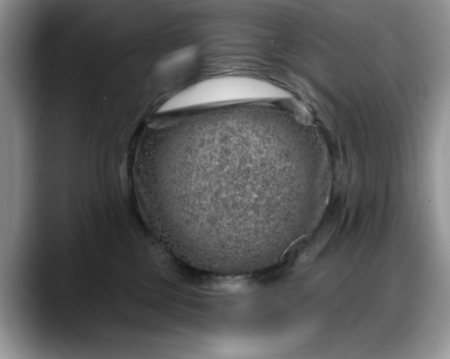 X0000088160377200705291916