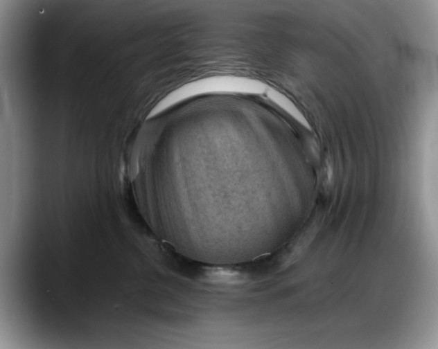 X0000088160380200705291916