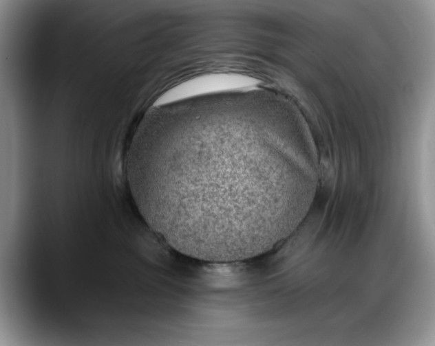X0000088160381200705291916