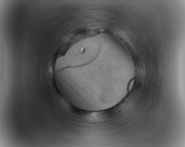 X0000088160382200705291916